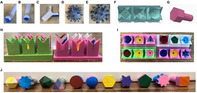 Hands-on immunology: Engaging learners of all ages through tactile teaching tools